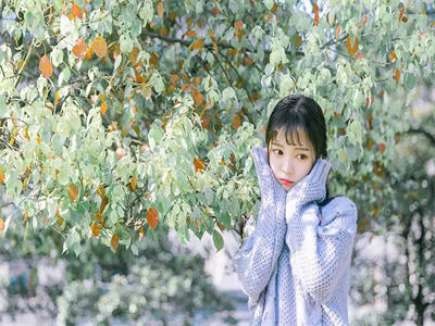 小说长安不见月谢婉欣萧必行目录阅读